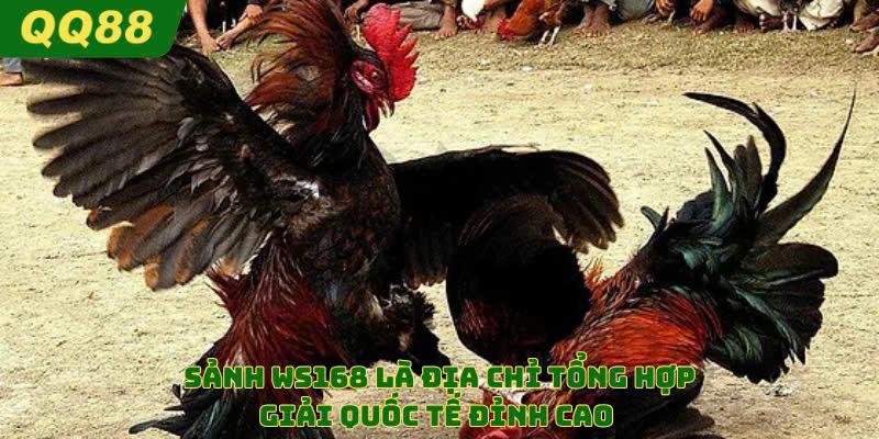 Sảnh WS168 là địa điểm có những trận đấu quốc tế 